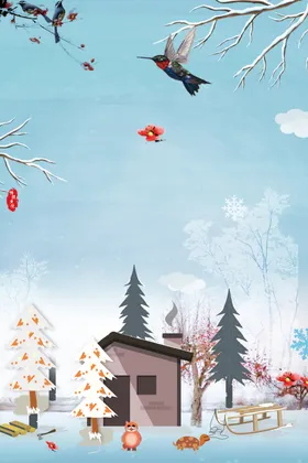 雪橇乌龟