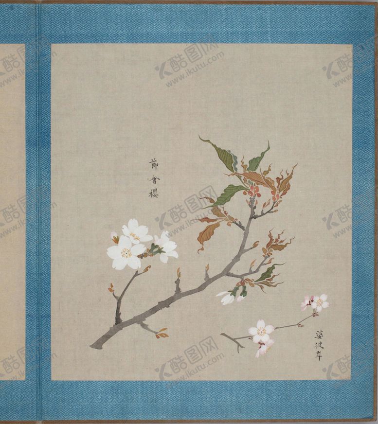 编号：78052004280556534634【酷图网】源文件下载-樱花