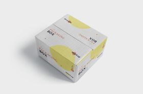 快递包装纸箱立体样机