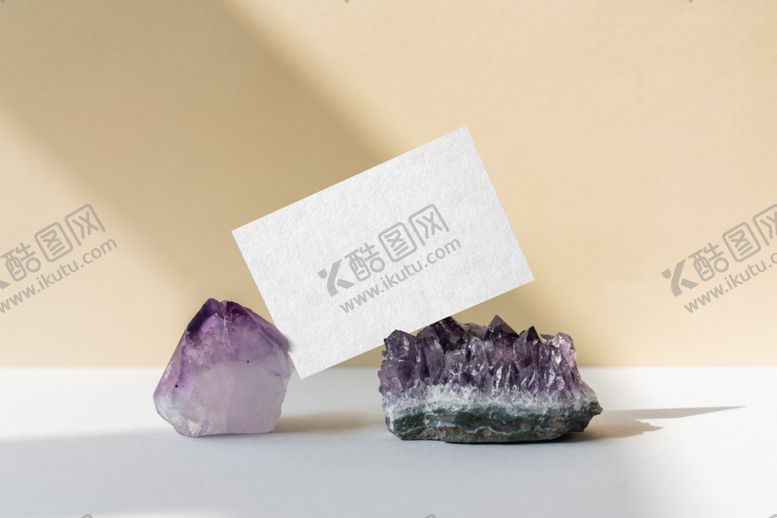 编号：25619205061819104934【酷图网】源文件下载-名片样机