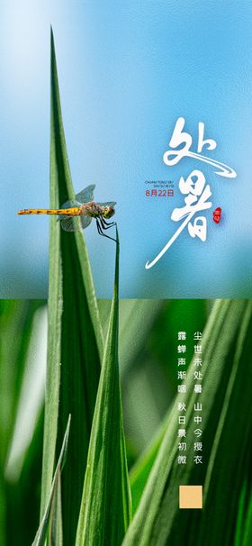 处暑微信地产24节气
