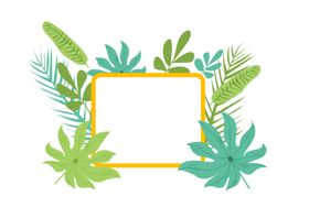 清新的植物插画边框
