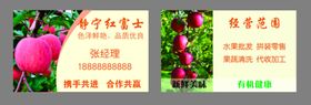 苹果名片
