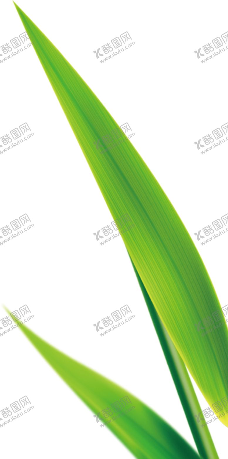 编号：14167706231447573771【酷图网】源文件下载-绿叶