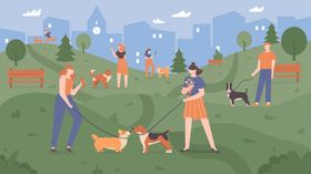 公园遛狗插图