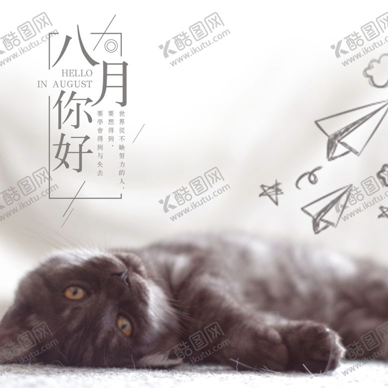 编号：25118710271108255221【酷图网】源文件下载-八月