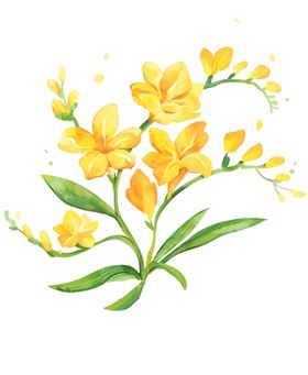 手绘鲜花