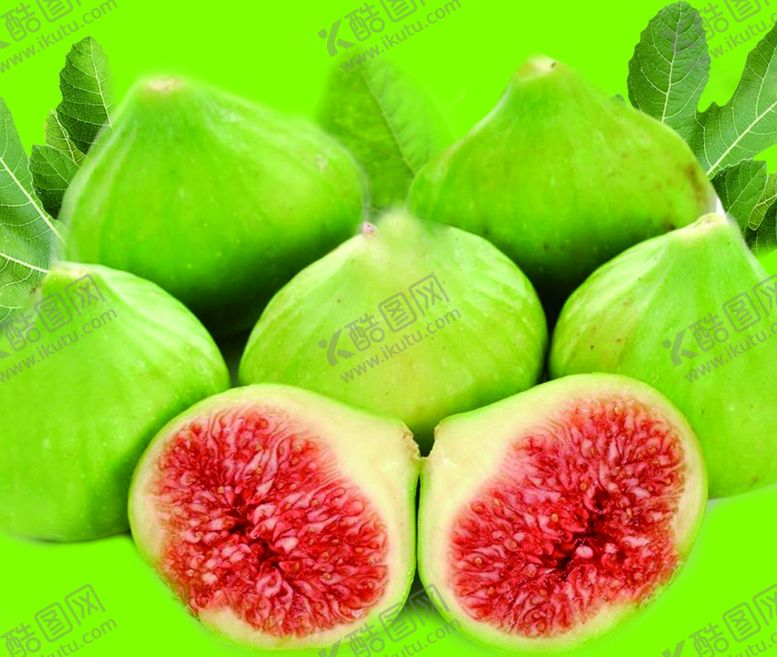 编号：62124309140549291845【酷图网】源文件下载-无花果海报