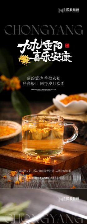 2025重阳节节日海报