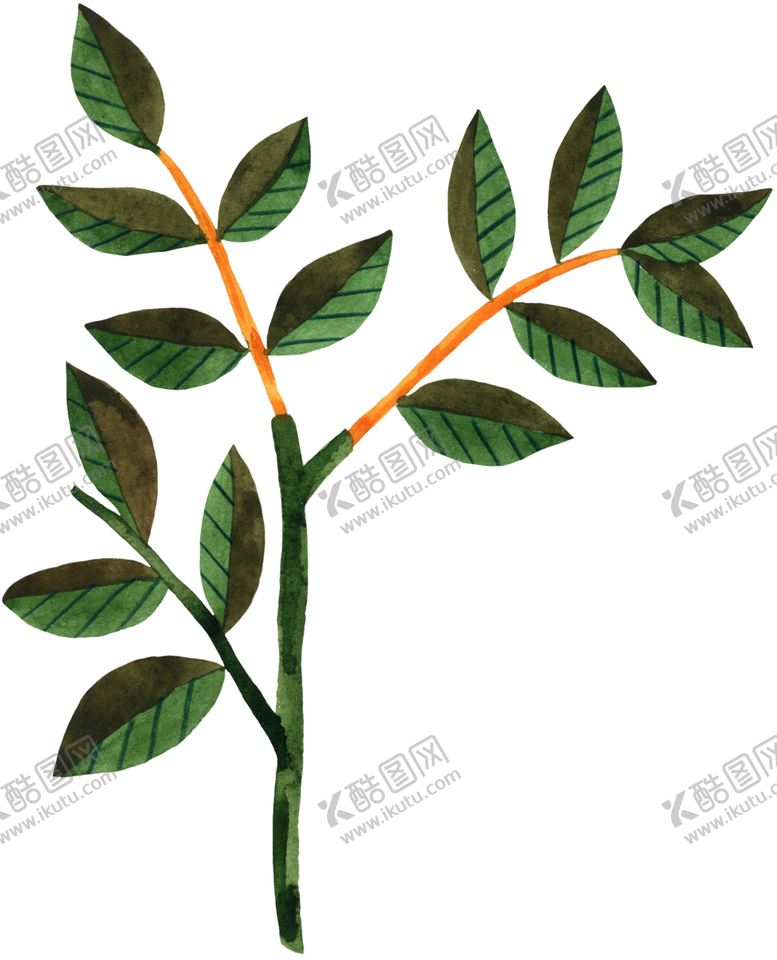 编号：26462109300702123710【酷图网】源文件下载-手绘植物叶片