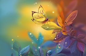 梦幻蝴蝶