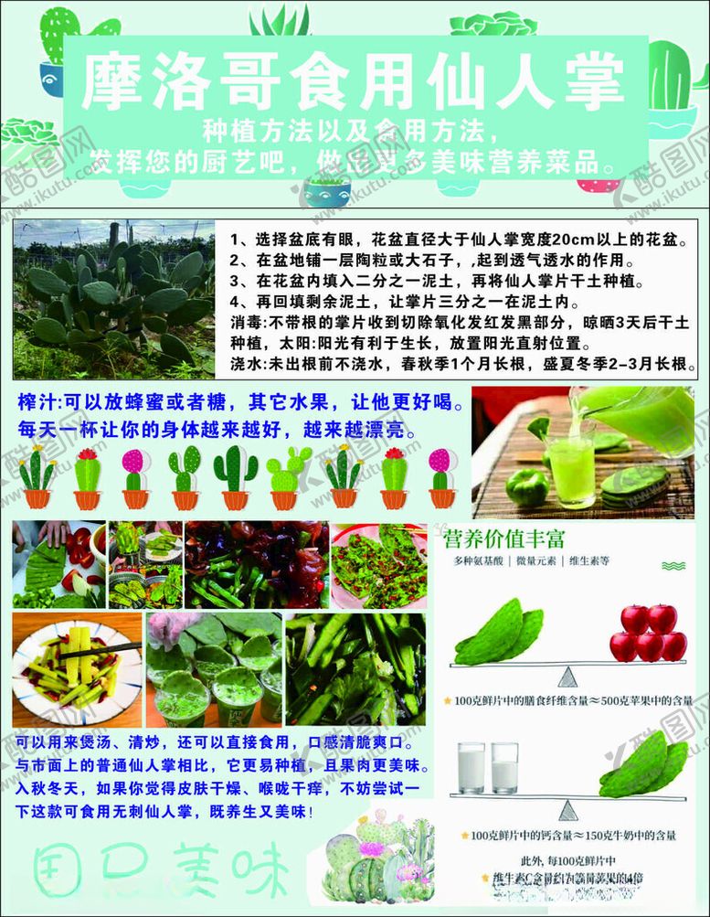 编号：66544602210924203407【酷图网】源文件下载-仙人掌