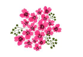 花环