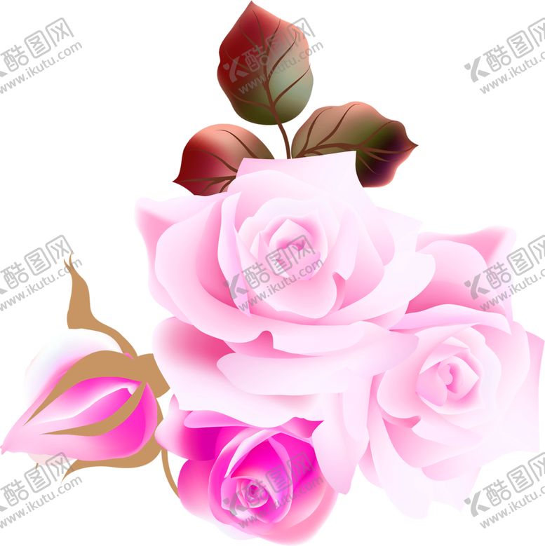 编号：43195305180318185990【酷图网】源文件下载-鲜花素材