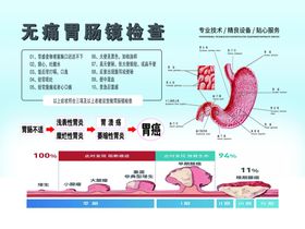 无痛胃肠镜胃部解刨图胃