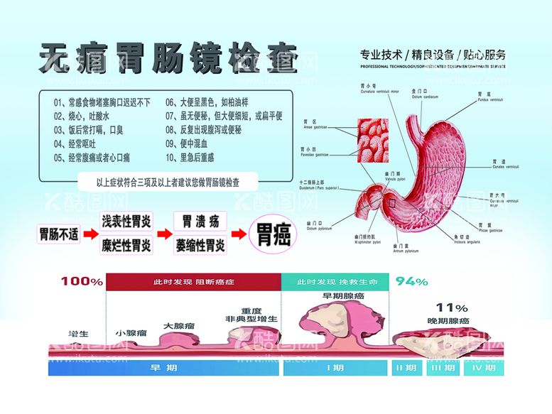 编号：32140909150400509182【酷图网】源文件下载-无痛胃肠镜胃部解刨图胃