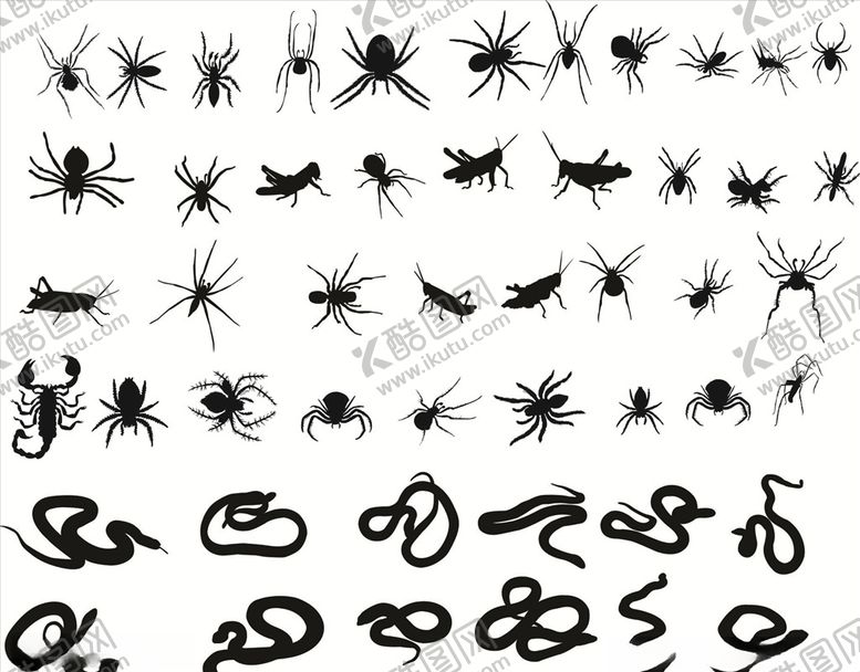 编号：48920310130033108269【酷图网】源文件下载-蜘蛛