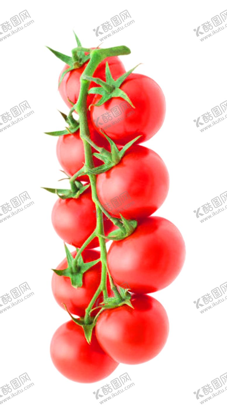 编号：54412710300138569166【酷图网】源文件下载-西红柿