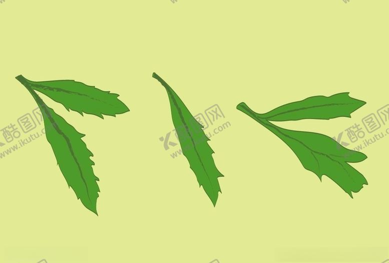编号：32619509250403134607【酷图网】源文件下载-叶子
