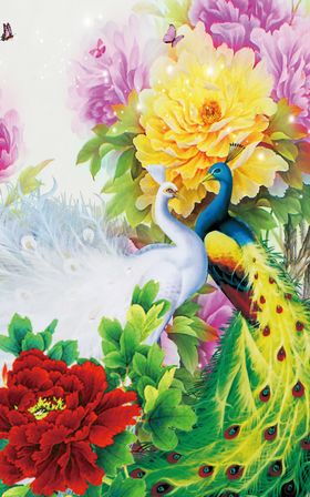 花开富贵孔雀3D昵图共享作品牡丹