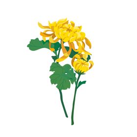 清明节素材春天绿色插图青团