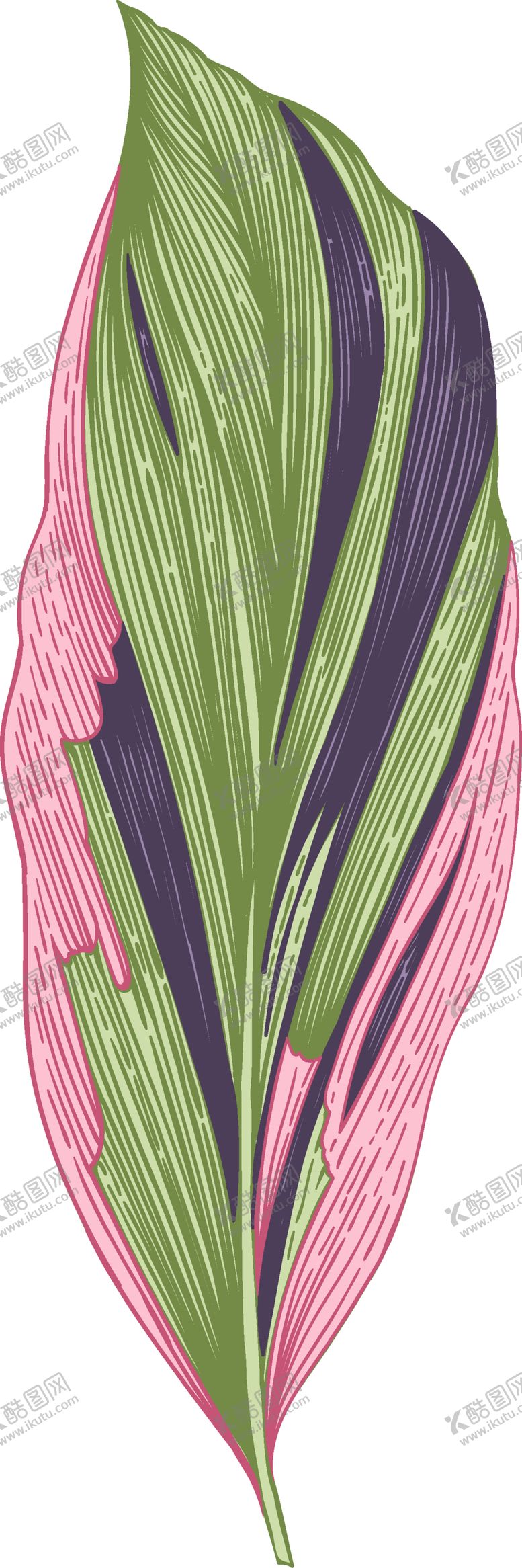 编号：36247709201358122889【酷图网】源文件下载-热带叶