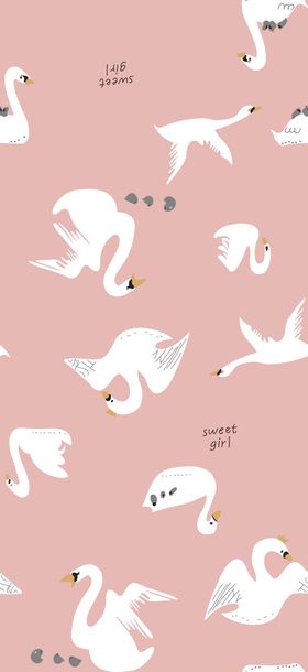 鸭子