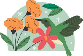 蜂鸟与花卉插画