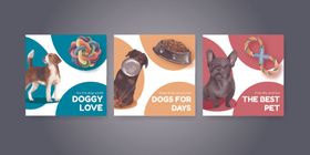 宠物用品横幅设计展示