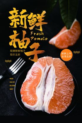 柚子水果果实宣传海报素材