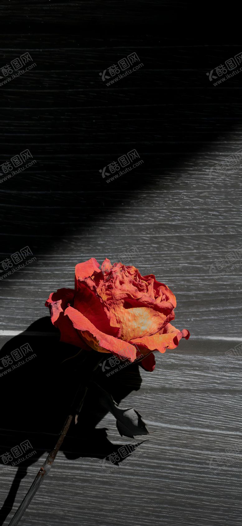 编号：70308104171416078239【酷图网】源文件下载-品牌励志鸡汤