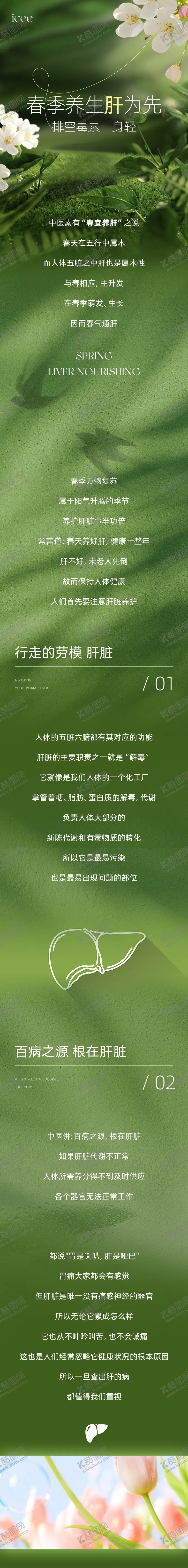 编号：10189404041324363102【酷图网】源文件下载-春季肝胆养生公众号长图