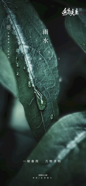 雨水海报地产节气节气