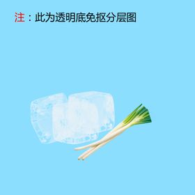 冰块葱