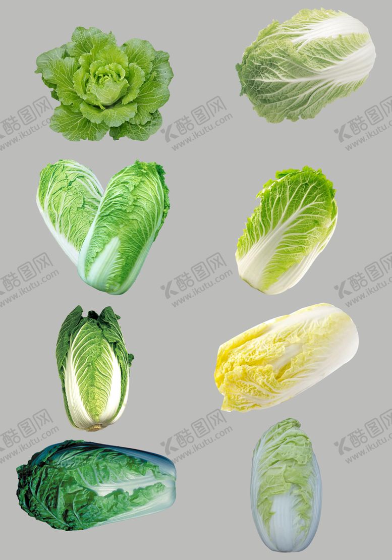 编号：08123909142113306279【酷图网】源文件下载-白菜