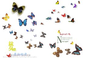 照相馆艺术照大头贴背景图