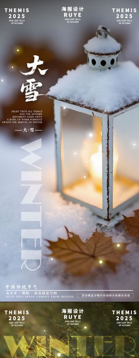 小雪大雪摄影海报