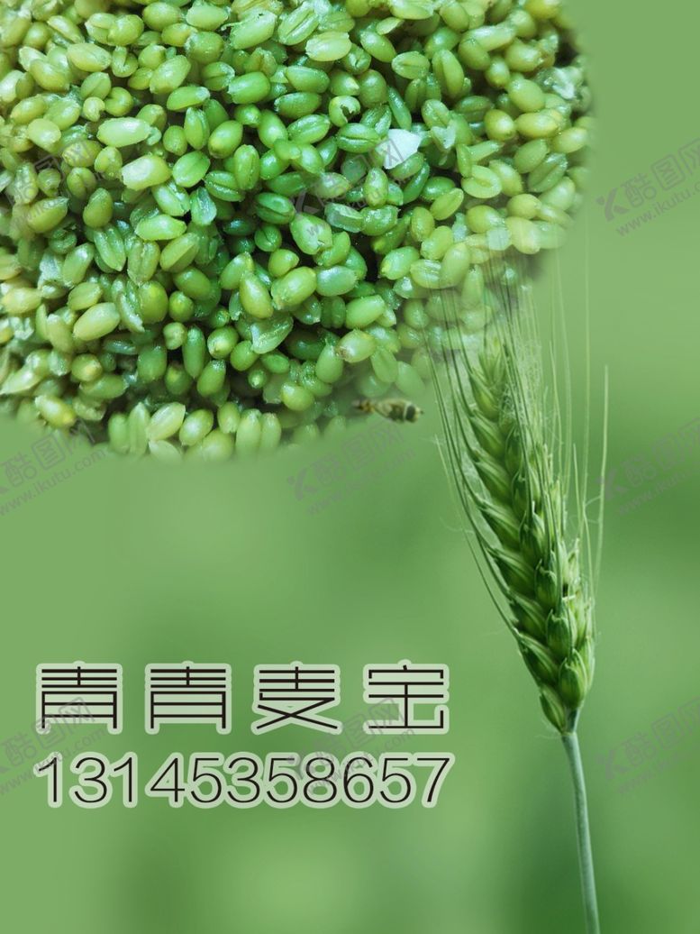 编号：66373004231025373811【酷图网】源文件下载-青青麦宝