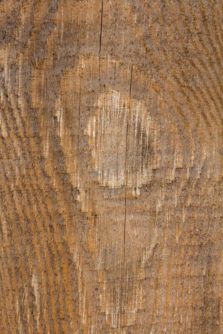 编号：21604409220842038926【酷图网】源文件下载-树皮