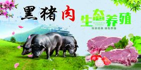 鲜肉分割图