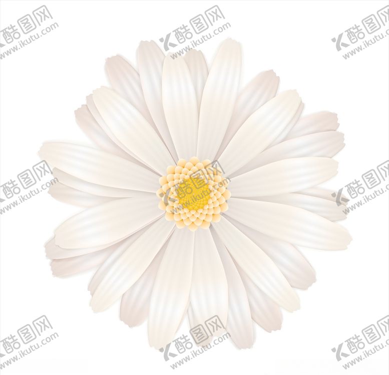 编号：92517106232053545660【酷图网】源文件下载-花卉图案