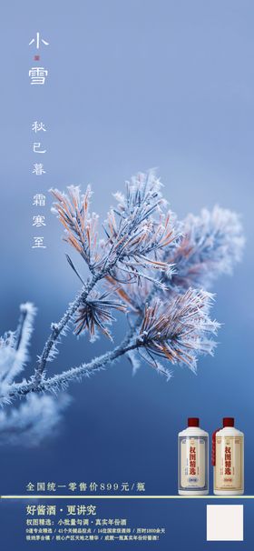 小雪节气24大海报