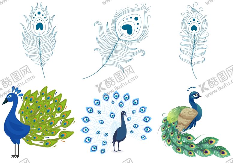 编号：66582309272018032317【酷图网】源文件下载-孔雀羽毛