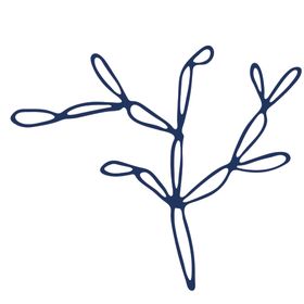 手绘海洋生物