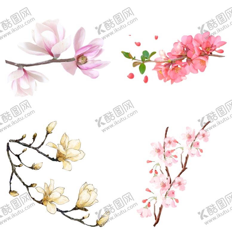 编号：29801212122048553481【酷图网】源文件下载-桃花