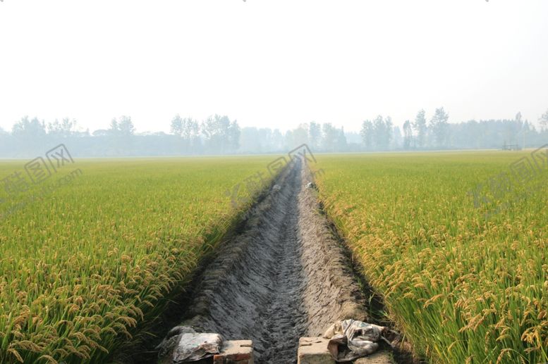 编号：53354510220949323922【酷图网】源文件下载-农田