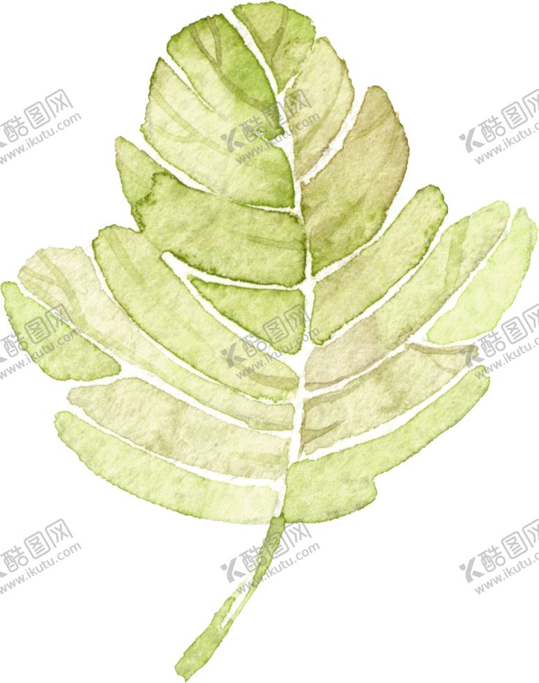 编号：53442805110512358952【酷图网】源文件下载-水彩手绘花卉花朵植物
