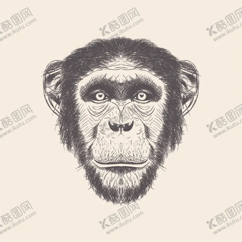 编号：35390606250448401503【酷图网】源文件下载-动物铅笔画