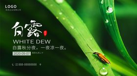白露海报x架展板
