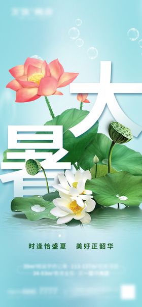 大暑手绘风格节气夏天创意海报